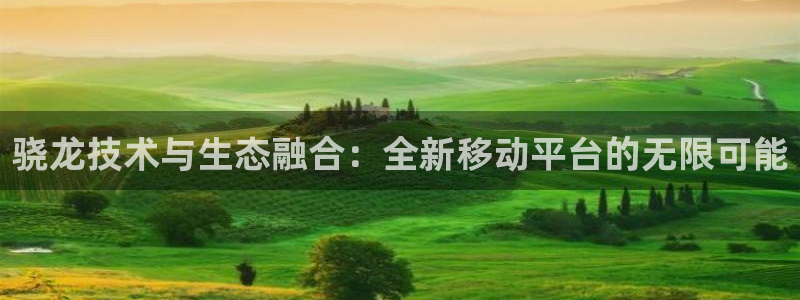 壹号娱乐4：骁龙技术与生态融合：全新移动平台的无限可能
