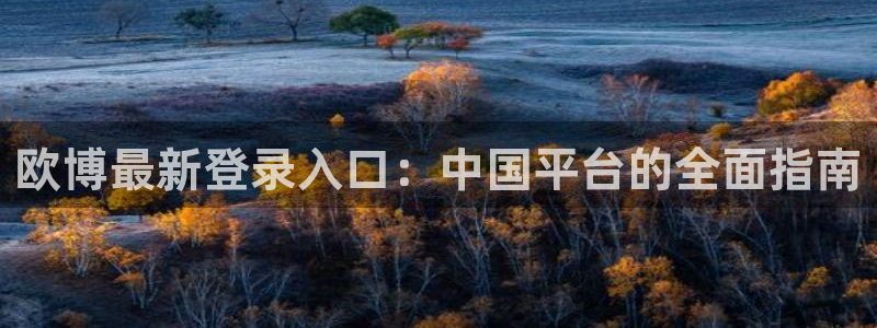 壹号娱乐体育f开户：欧博最新登录入口：中国平台的全面指南