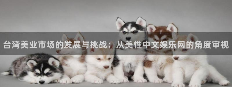 壹号娱乐体育老板是谁：台湾美业市场的发展与挑战：从美性中文娱乐网的角度审视
