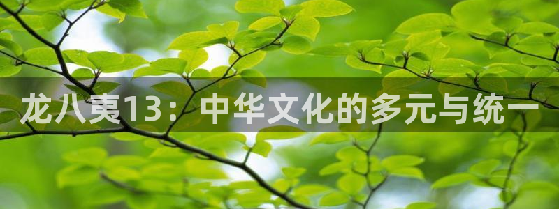 壹号娱乐平台开户链接：龙八夷13：中华文化的多元与统一