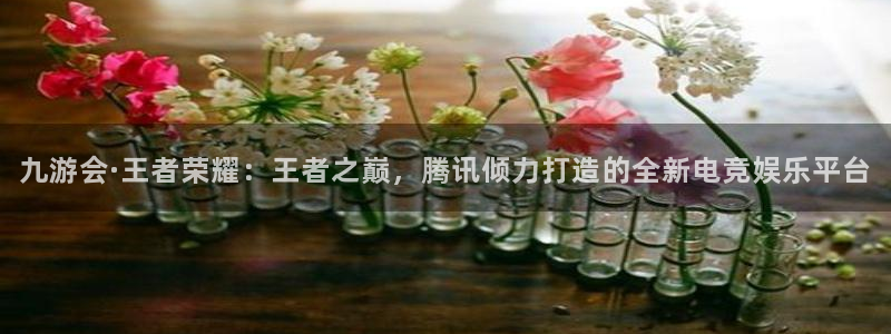 壹号娱乐体育官网：九游会·王者荣耀：王者之巅，腾讯倾力打造的全新电竞娱乐平台