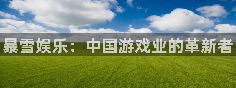 壹号娱乐2登录地址：暴雪娱乐：中国游戏业的革新者