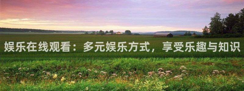 壹号娱乐体育注册平台：娱乐在线观看：多元娱乐方式，享受乐趣与知识