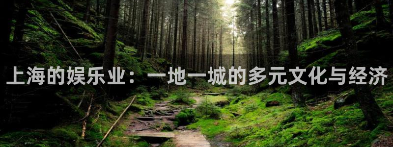 壹号娱乐登录界面入口：上海的娱乐业：一地一城的多元文化与经济