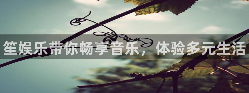 壹号娱乐官网入口：笙娱乐带你畅享音乐，体验多元生活