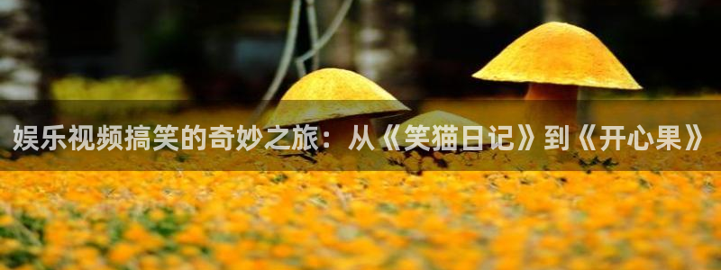 壹号娱乐代理：娱乐视频搞笑的奇妙之旅：从《笑猫日记》到《开心果》