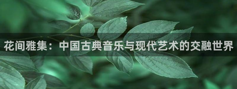 壹号娱乐环保：花间雅集：中国古典音乐与现代艺术的交融世界