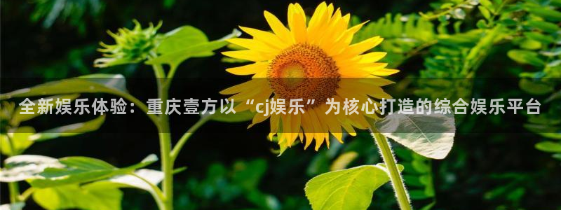 壹号娱乐3代理：全新娱乐体验：重庆壹方以“cj娱乐”为核心打造的综合娱乐平台