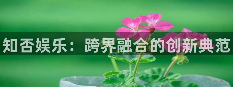 壹号娱乐平台开户链接：知否娱乐：跨界融合的创新典范