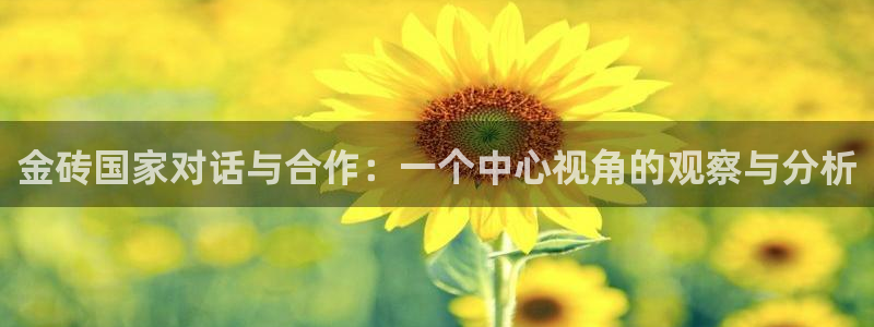 壹号娱乐平台：金砖国家对话与合作：一个中心视角的观察与分析
