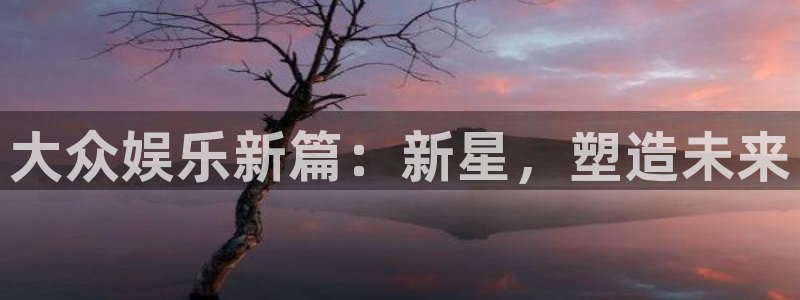 壹号娱乐3平台登录注册：大众娱乐新篇：新星，塑造未来