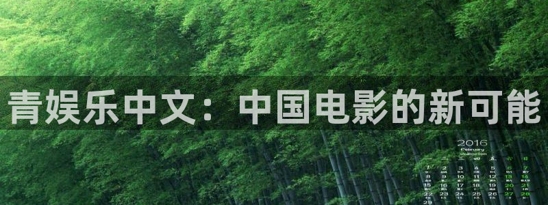 壹号娱乐能源：青娱乐中文：中国电影的新可能